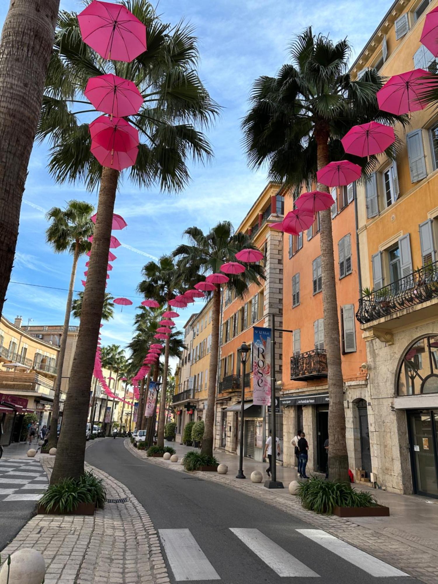 Apartment Duplex Le Mimosa Parking Gratuit Vue Exceptionnelle *